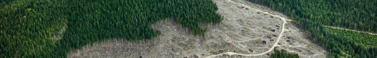 TERRA FORMA : Building the Smart Observatories of the Anthropocene